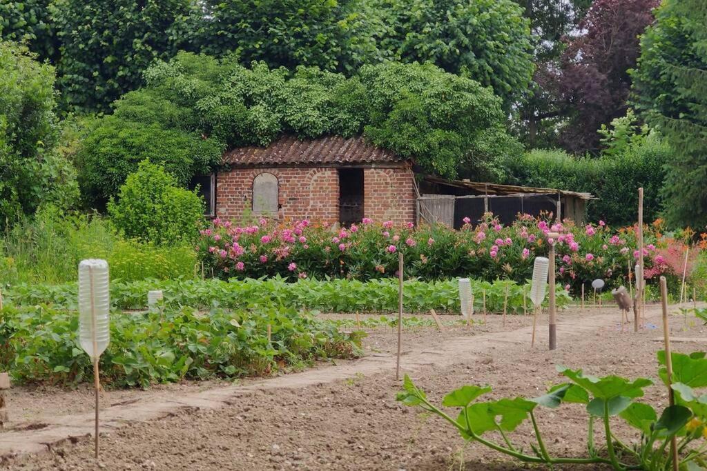 Uw Eigen Boerderij Bij Le Moulin De La Place Hargicourt ภายนอก รูปภาพ