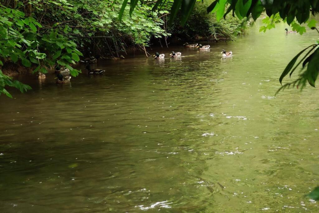 Uw Eigen Boerderij Bij Le Moulin De La Place Hargicourt ภายนอก รูปภาพ